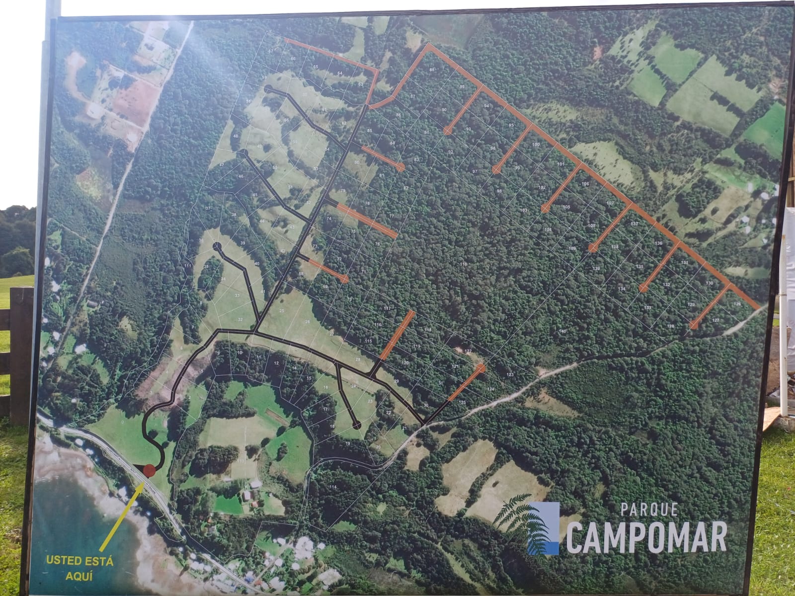 WhatsApp-Image-2025-02-08-at-12.50.04