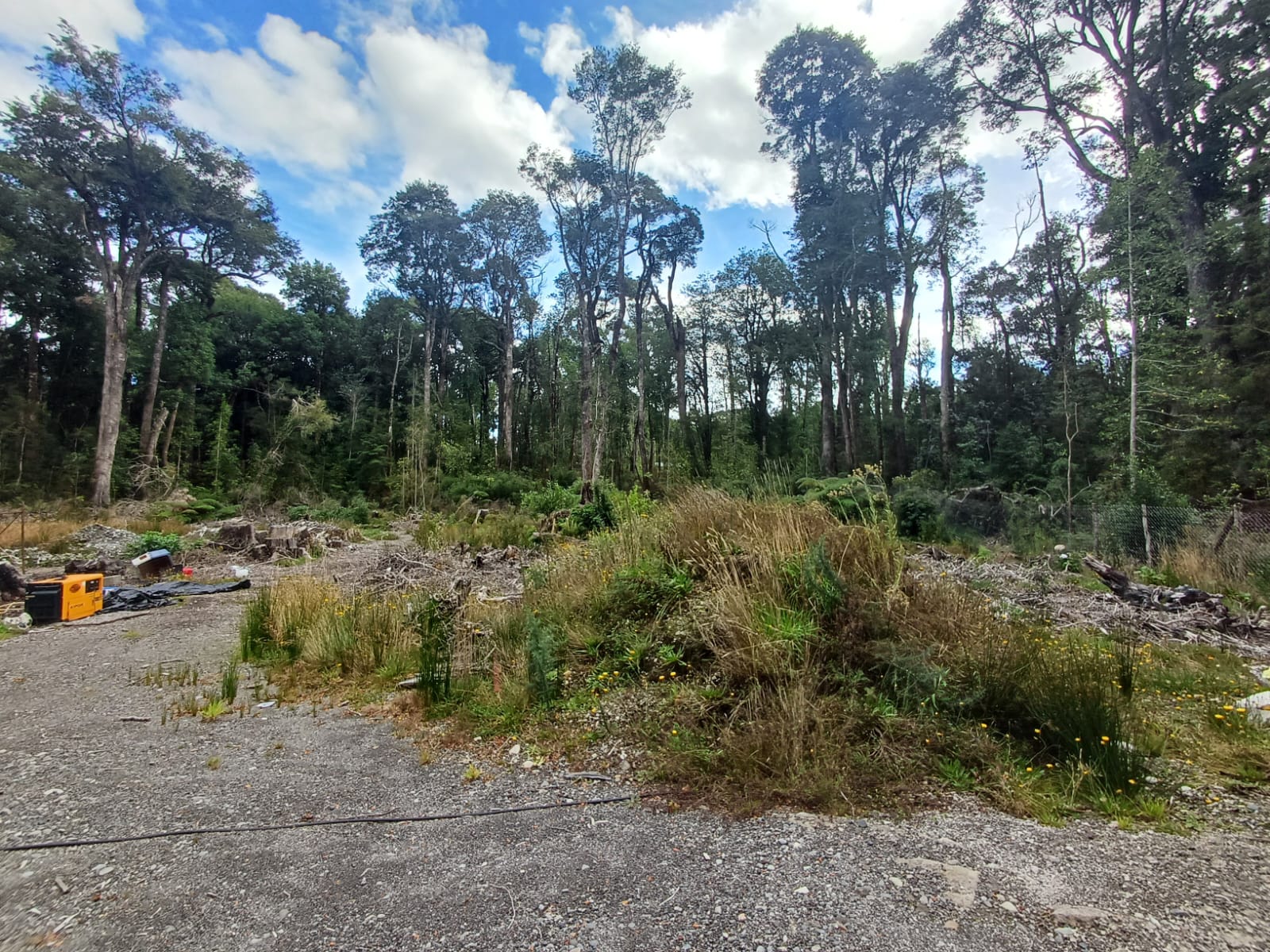 WhatsApp-Image-2025-02-08-at-12.50.53-4