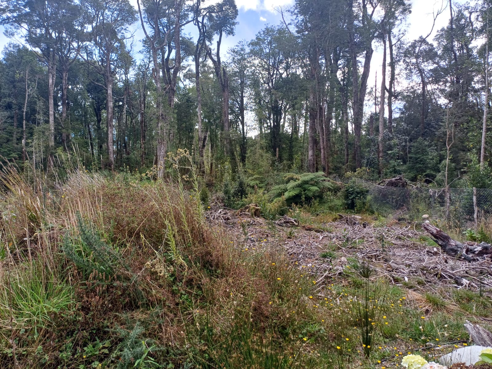 WhatsApp-Image-2025-02-08-at-12.50.53